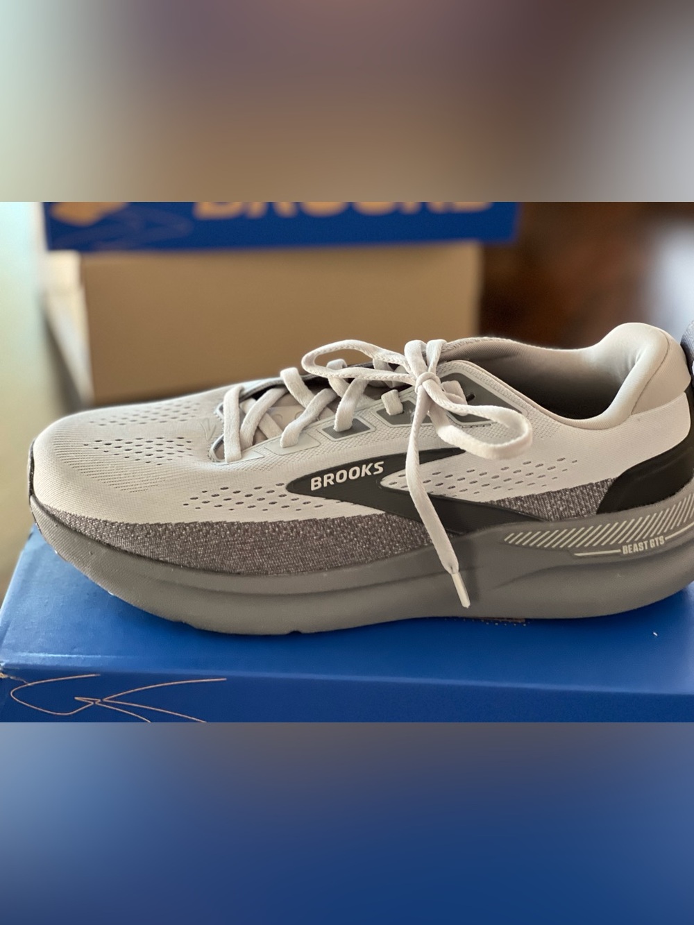 Brooks Men's Gray and White Running Shoe